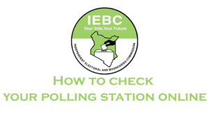 How to check your polling station online Check IEBC polling station online