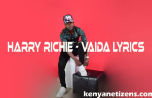 Harry Richie – Vaida Lyrics Harry Richie - Vaida Lyrics